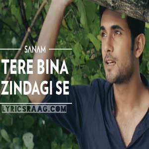 Tere Bina Zindagi Se Lyrics: Sanam Puri Band | 2016 Songs