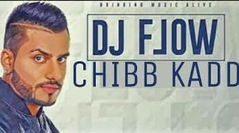 Chibb Kadd – DJ Flow