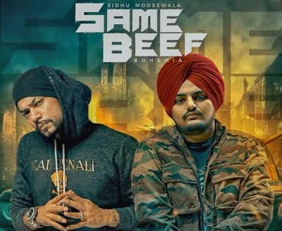 same beef meaning in hindi and punjabi