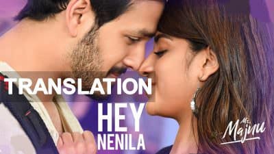 Hey Nenila Telugu Song | Mr. Majnu | Lyrics Meaning