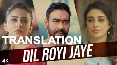 Dil Royi Jaye Lyrics Meaning | (From “De De Pyaar De”)