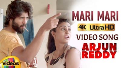 Mari Mari Lyrics Meaning | Arjun Reddy | Gowthami