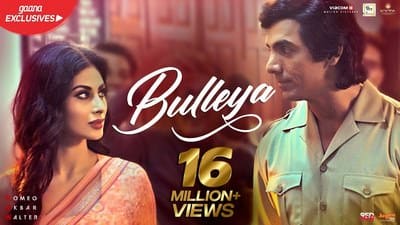 Bulleya Lyrics Translation – RAW | by Rabbi Shergill | Shahid Mallya