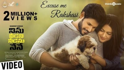 Excuse Me Rakshasi Lyrics Translation | Ninu Veedani Needanu Nene