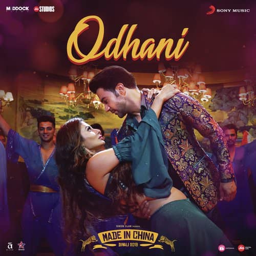 Odhani-From-Made-in-China--Hindi translation lyrics