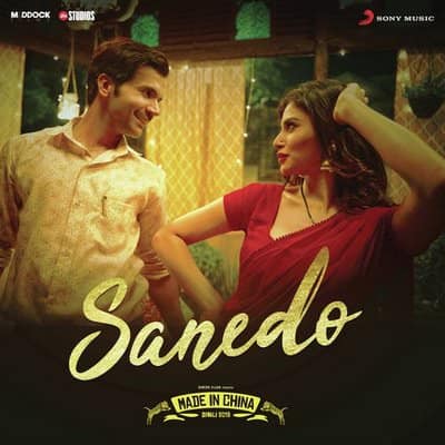 Sanedo (From Made in China) hindi lyrics (Copy)