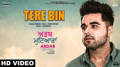 NINJA – Tere Bin Lyrics | Goldboy | Ardab Mutiyaran