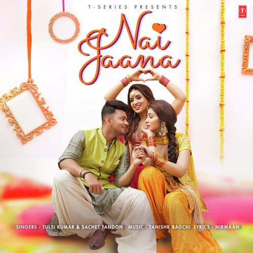 Nai-Jaana-Hindi-punjabi-tulsi kumar translation lyrics