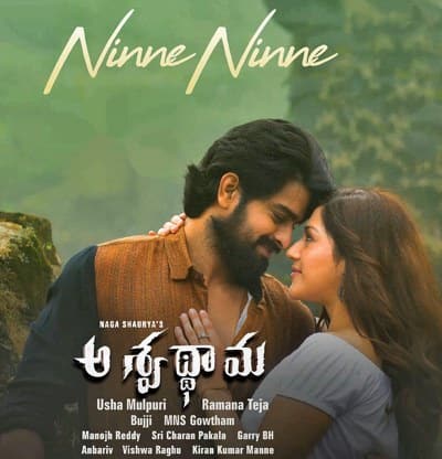 Aswathama Movie Ninne Ninne song lyrics Naga Shaurya