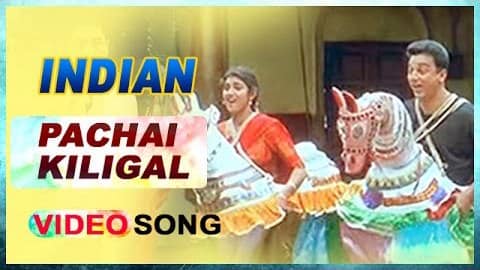 Pachai Kiligal Lyrics (with Meaning) | Kamal Haasan | Indian Movie