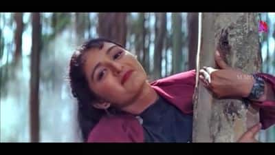 Ethrayo Janmamayi Lyrics | English Meaning | Summer In Bethlehem