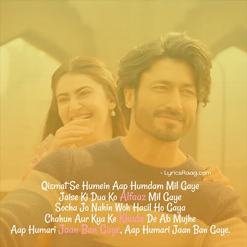 aap hamari jaan ban gaye lyrics meaning English khuda hafiz