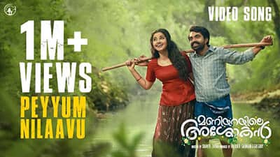 Peyyum Nilavil Lyrics Translation – Maniyarayile Ashokan (movie)
