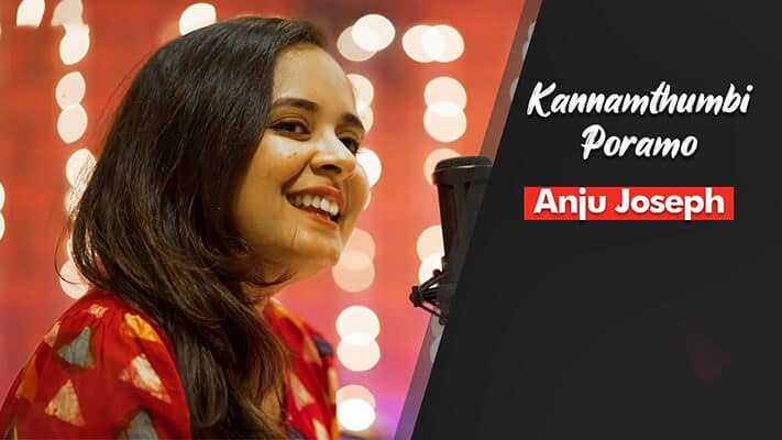 Kannam Thumbi Poramo Lyrics Translation