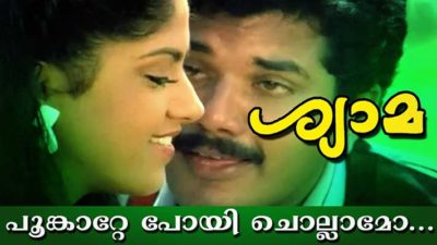 thekkan poonkatte poyi chollamo lyrics