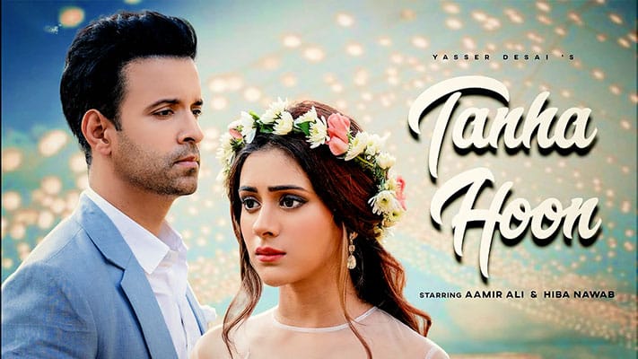 Tanha Hoon Lyrics Translation – Yasser Desai