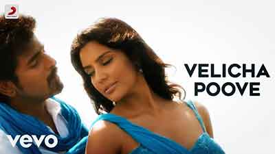 Velicha Poove Lyrics Translation – Ethir Neechal