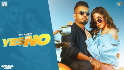 Yes Or No Lyrics – Dj Flow, Shree Brar