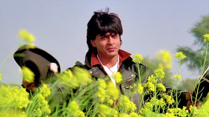 Tujhe Dekha To Ye Jana Sanam Lyrics Translation – Dilwale Dulhania Le Jayenge