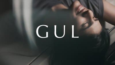 Gul Lyrics — Anuv Jain | Translation
