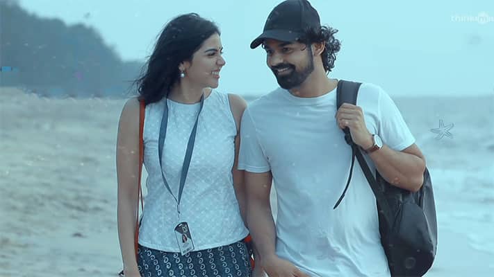 Bas Kar Ji Lyrics Translation — Hridayam