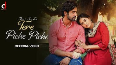 Tere Piche Piche Lyrics Translation — Baani Sandhu