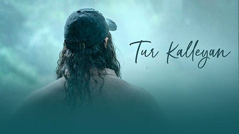Tur Kalleyan Lyrics Translation — Laal Singh Chaddha