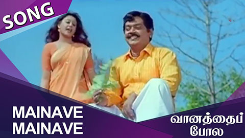 Mainave Mainave Ithu Enna Maayam Lyrics Meaning — Vaanathai Pola | K. S. Chithra | Unni Menon