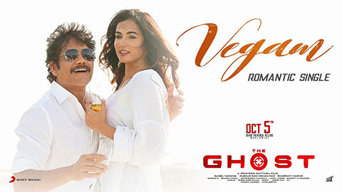 Vegam Lyrics Translation — The Ghost | Kapil Kapilan | Ramya Behara