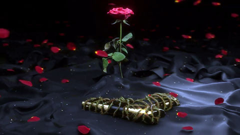 Her Lyrics — Shubh | Akhan Nal Pi’ayi Jani Ae