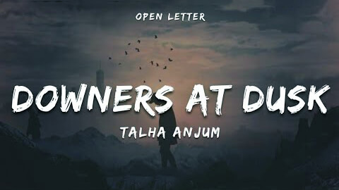 Downers At Dusk Lyrics Meaning (English) — Talha Anjum