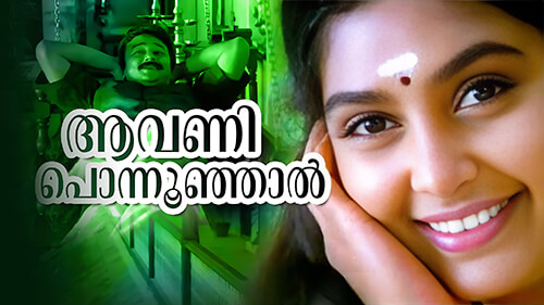 Aavani Ponnunjal Lyrics Translation — Kottaram Veettile Apputtan | M. G. Sreekumar