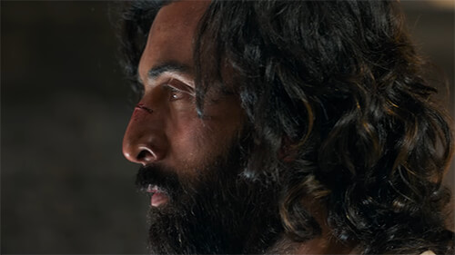 Haiwaan Lyrics English Translation: Animal | Ashim Kemson