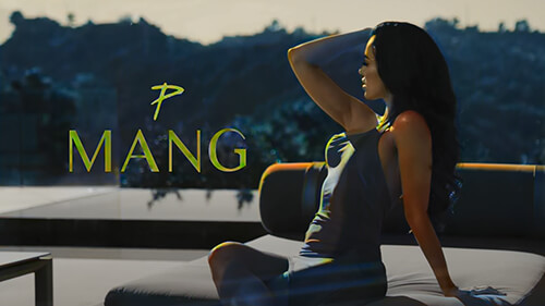 Mang (Tu Mitran Di Mang Kude Ni) Lyrics English Translation — The Prophec