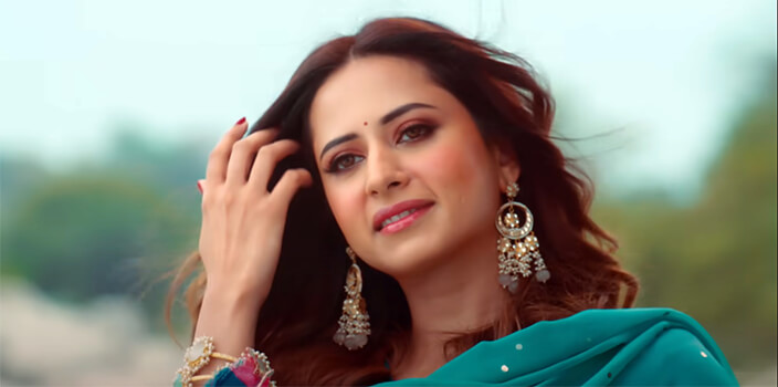 Parindey Lyrics Translation | B Praak | Sargun Mehta | Gippy Grewal