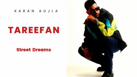 tareefan karan aujla divine lyrics english