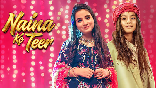 Naina Ke Teer Lyrics (with English Meaning) Renuka Panwar Vikram Pannu