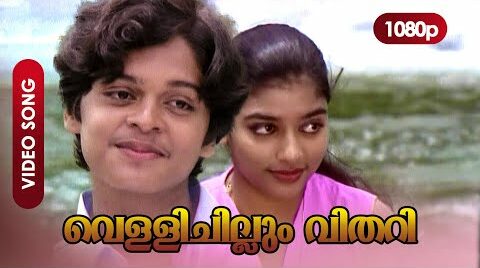 Vellichillum Vithari Lyrics Translation