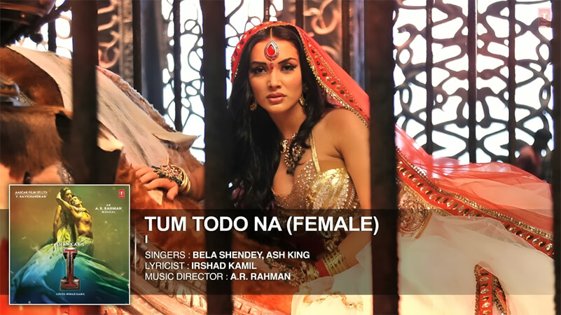 tum todo na dil mera female version lyrics english