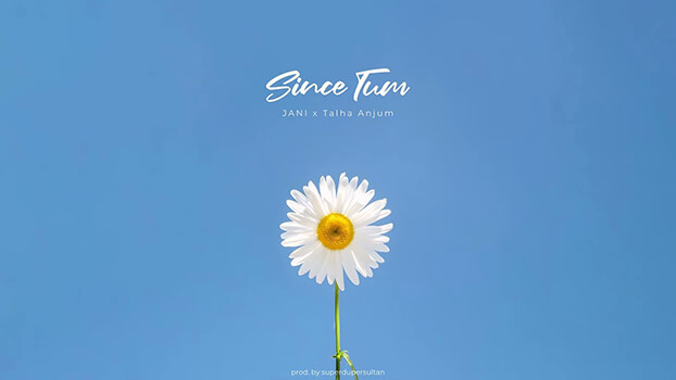 Since Tum Lyrics English {Meaning} — Jani | Talha Anjum