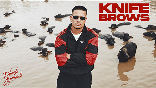 Dhanda Nyoliwala | Knife Brows Lyrics (with English Meaning)
