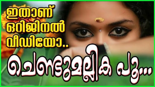 Chendumallika-Poo-Kandal-Lyrics-Translation-in-English-Biju-Pradeep-Irinjalakuda