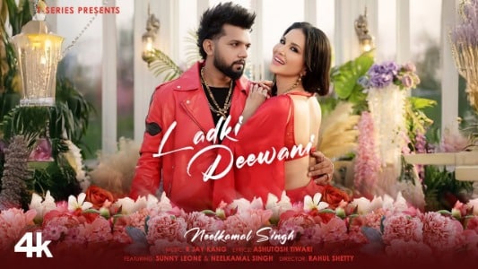 Ladki-Deewani-Lyrics-English-Meaning-Neelkamal-Singh