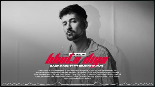 Bhula-Diya-Lyrics-Meaning-in-English-Haider-Abbas-Simran-Kaur-Zack-Knight
