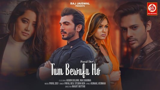 Tum-Bewafa-Ho-Lyrics-English-Translation-Payal-Dev-Stebin-Ben