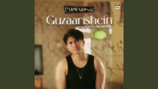Guzaarishein-Lyrics-English-Meaning-Parwarish-tv-Series-Alistair-Alvin-Samar-Jafri
